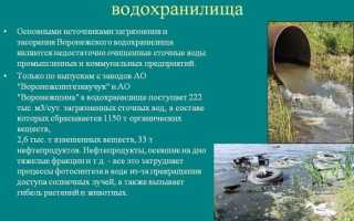 Эффективные и простые способы, как убрать осадок со дна бассейна