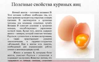 Яйца в бодибилдинге