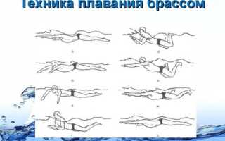 Кроль на груди — техника и обучение