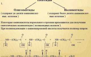 Разновидности и действие аминокислот, схемы приема