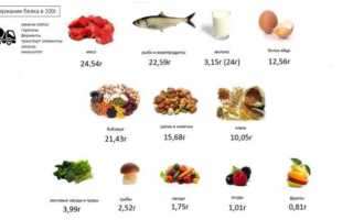 Все, что необходимо знать про продукты, содержащие белок