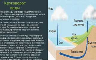 Каков уровень воды в реке Дон и от чего он зависит?