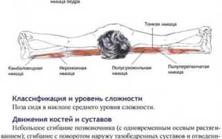 Секреты выполнения Ардха Баддха Падма Пашчимоттанасаны, техника позы в йоге, польза асаны