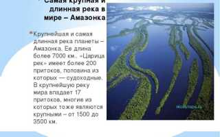На заметку путешественнику: какие города находятся на реке Миссисипи?