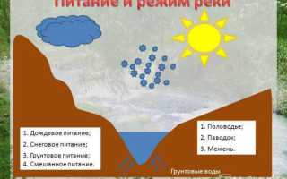 Какие основные источники питания реки Амазонка?